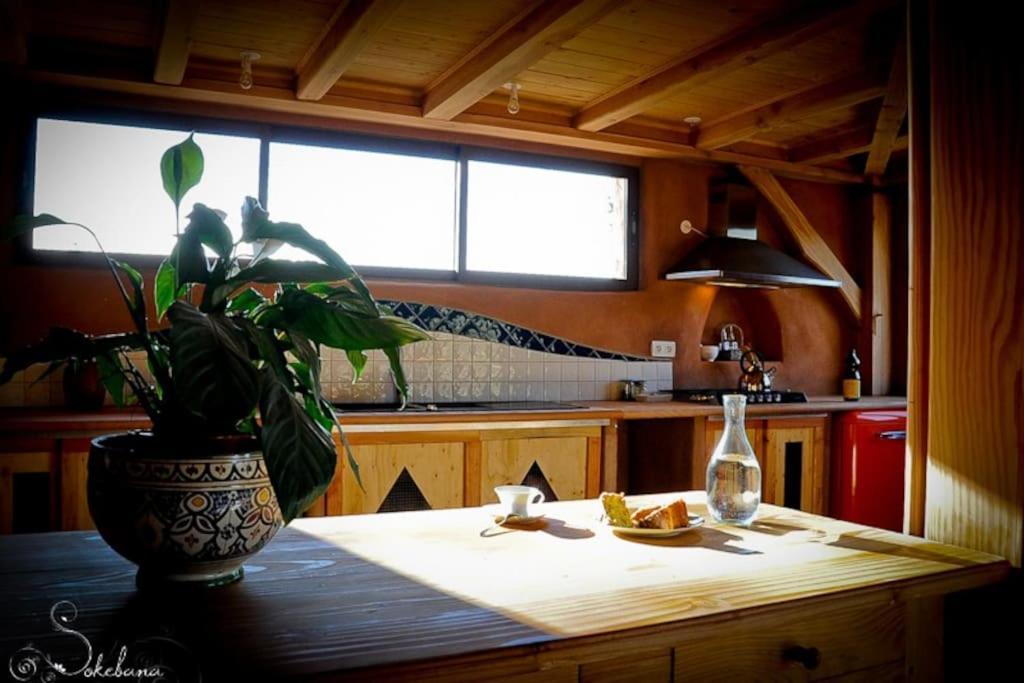 Villa Le Nid des Anges à Saint-André-Lachamp Extérieur photo