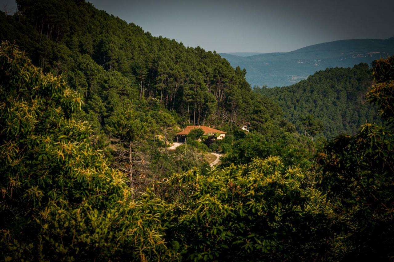 Villa Le Nid des Anges à Saint-André-Lachamp Extérieur photo