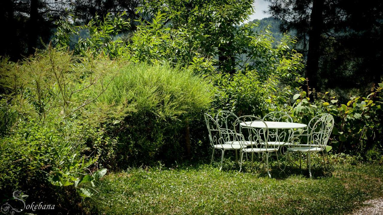 Villa Le Nid des Anges à Saint-André-Lachamp Extérieur photo